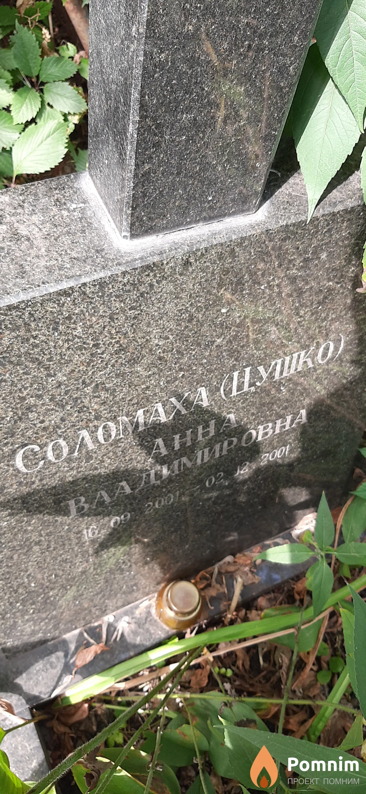 Соломаха-Цушко Анна Владимировна