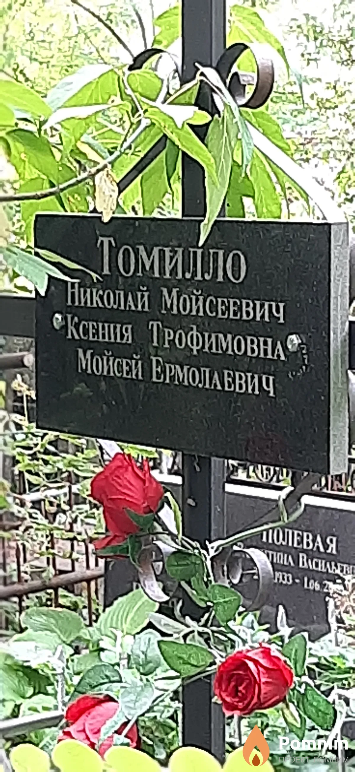 Томилло Николай Мойсеевич