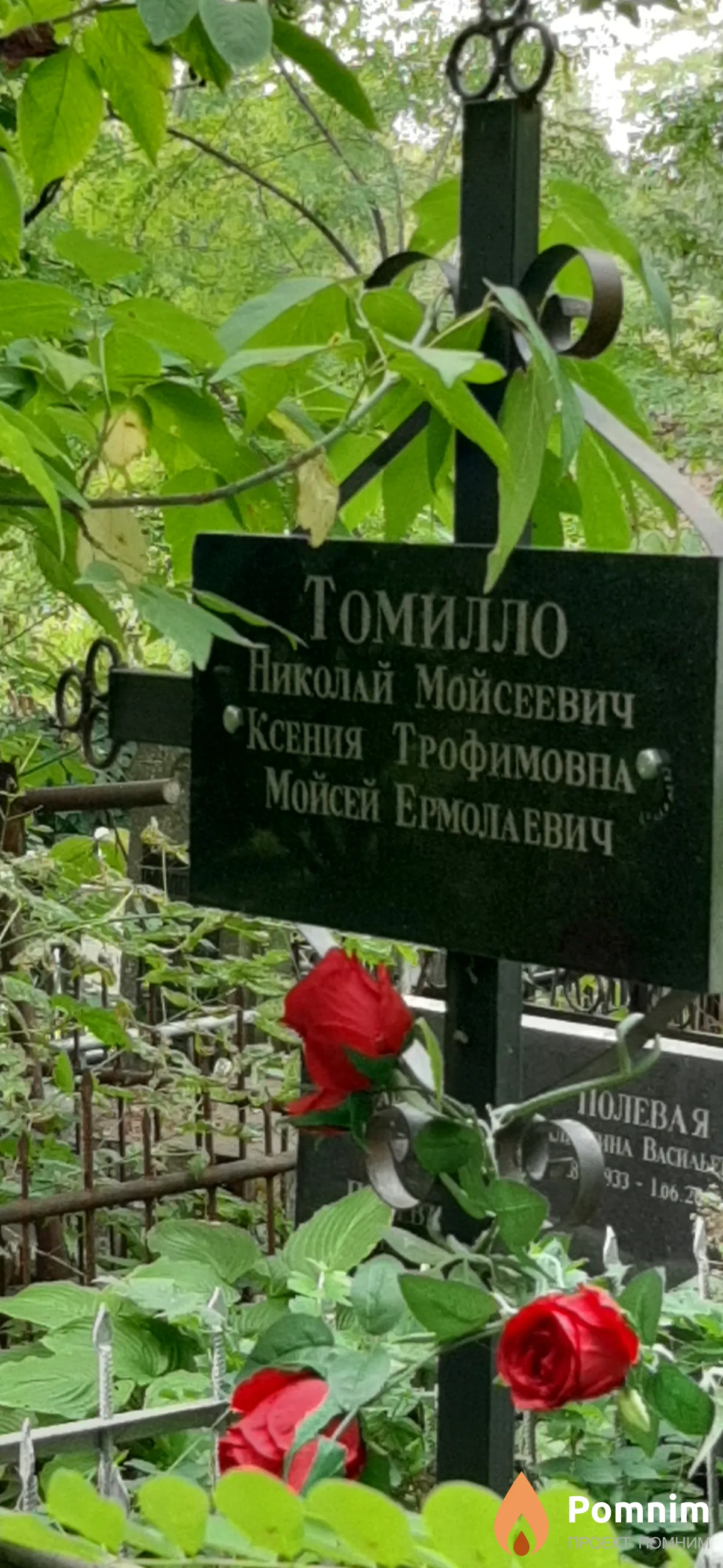 Томилло Ксения Трофимовна