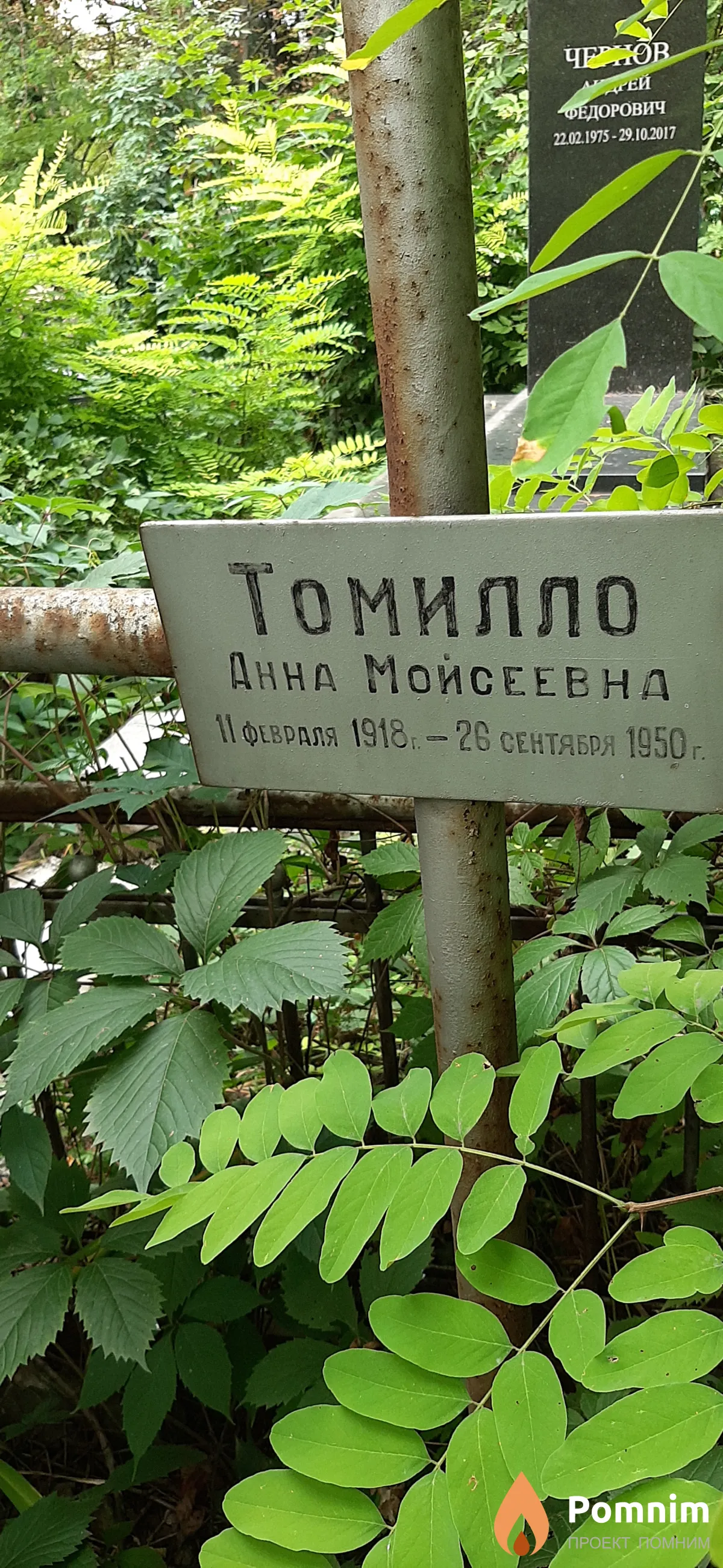 Томилло Анна Моисеевна