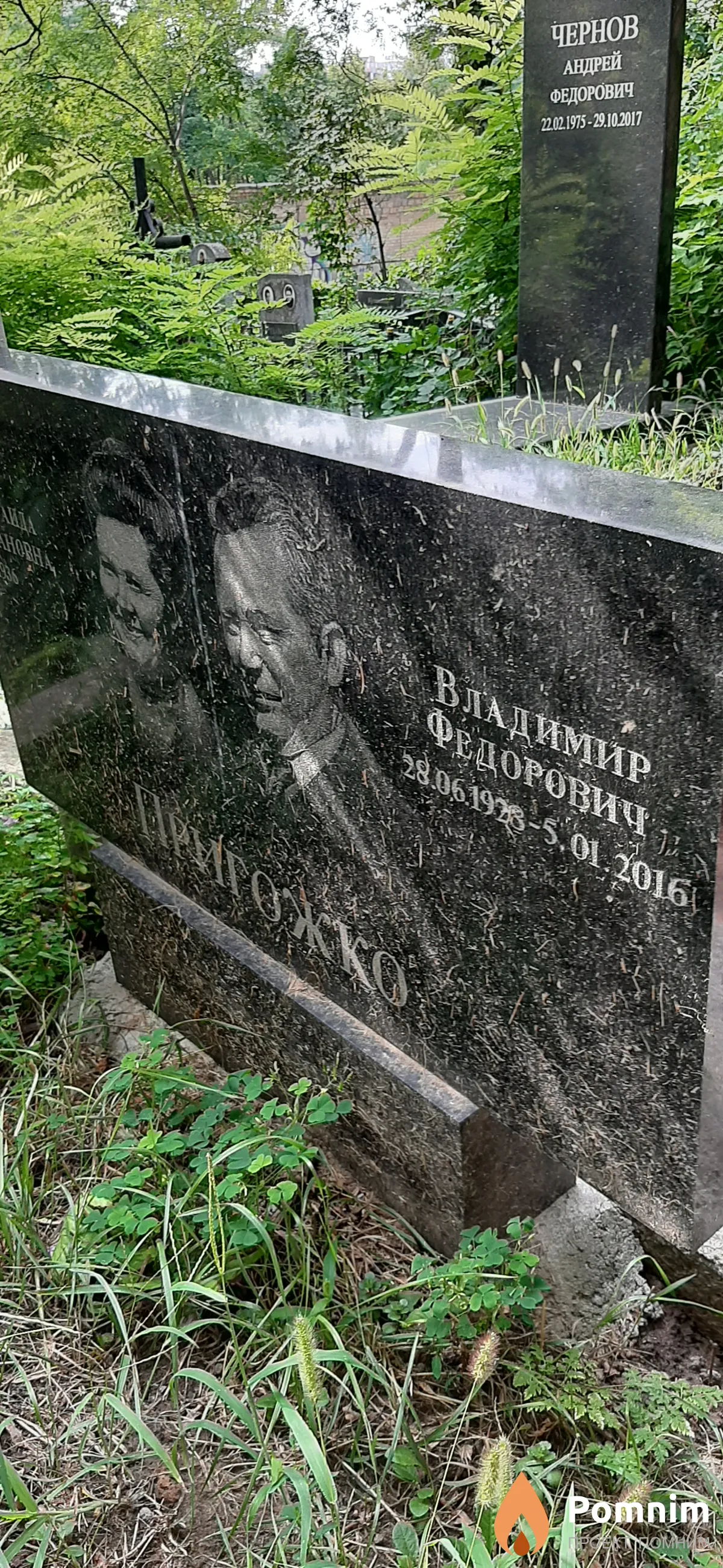 Пригожко Владимир Федорович