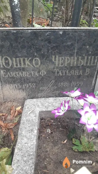 Юшко Елизавета Ф