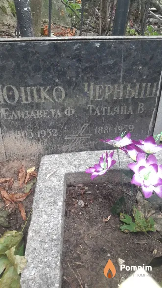 Черныш Татьяна В