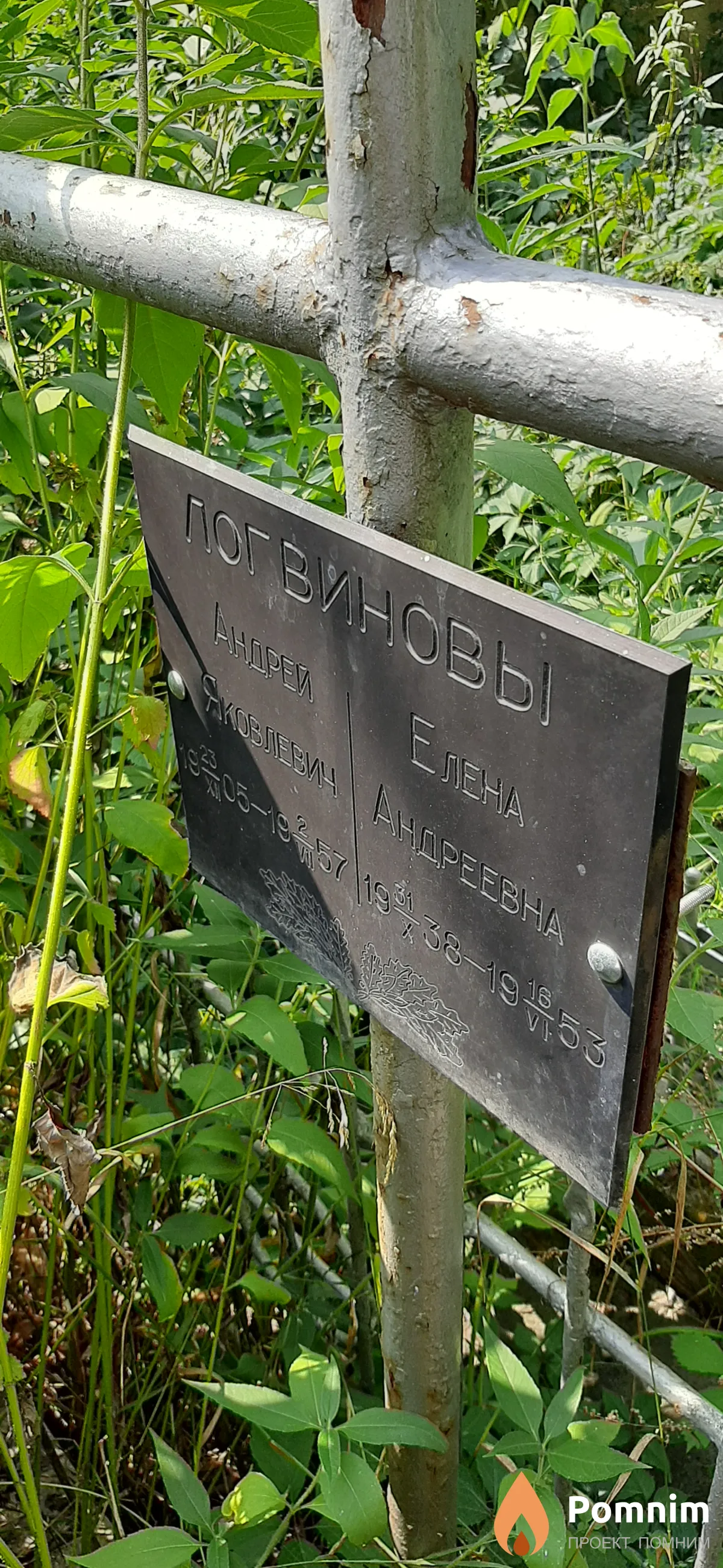 Логвинова Елена Андреевна