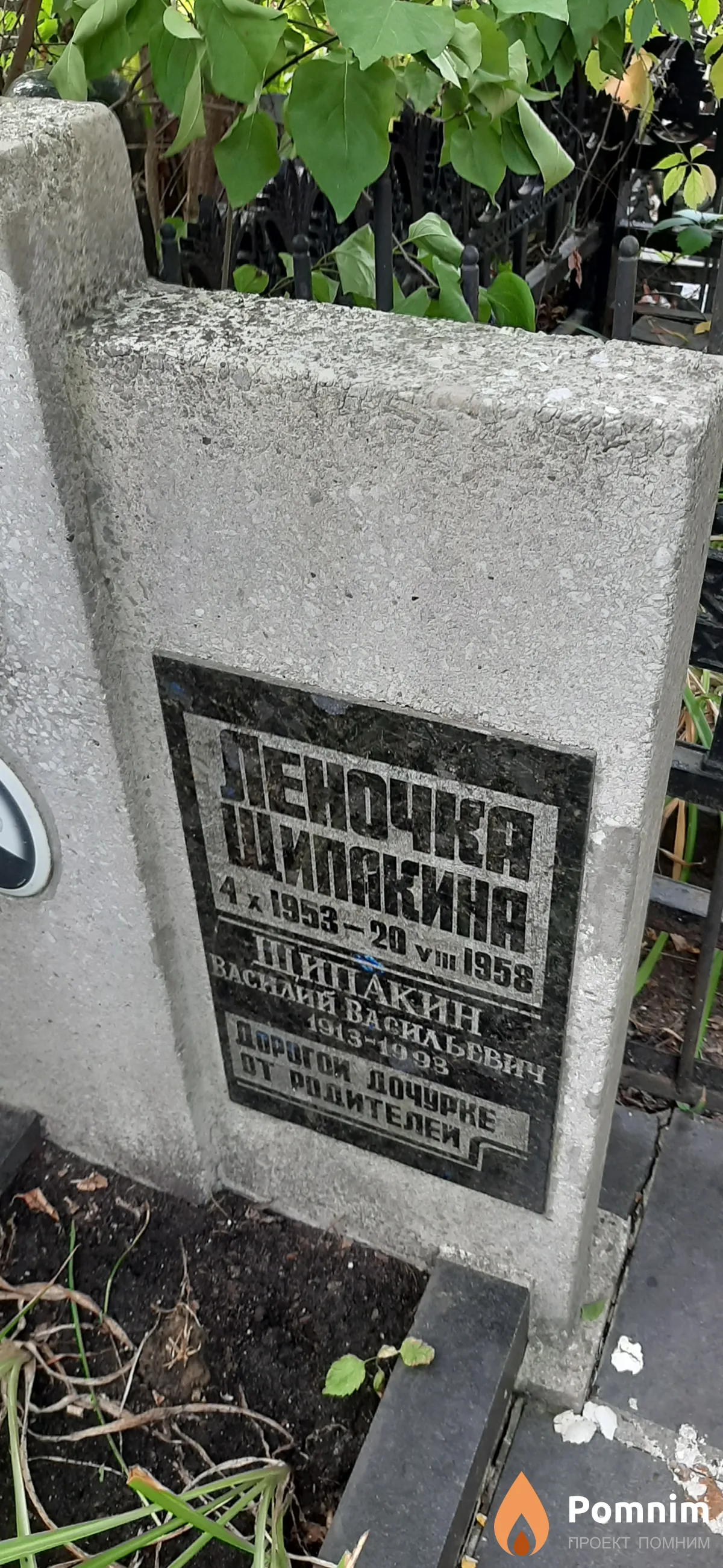 Шипакина Леночка