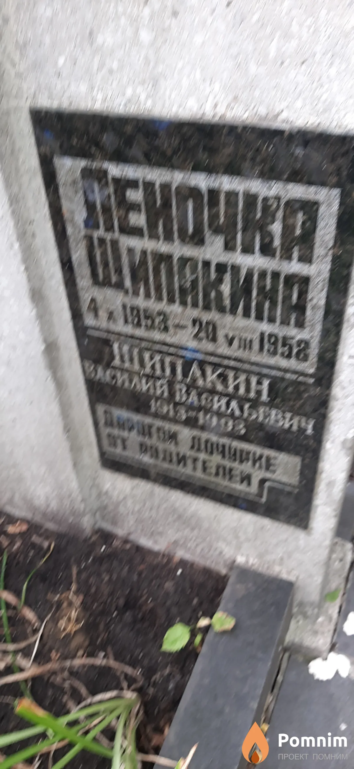 Шипакин Василий Васильевич