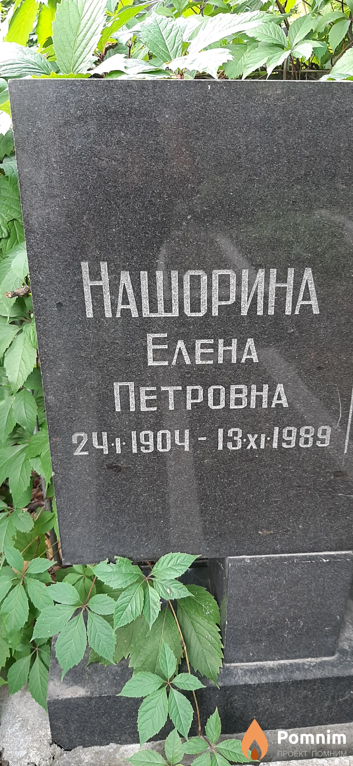 Нашорина Елена Петровна