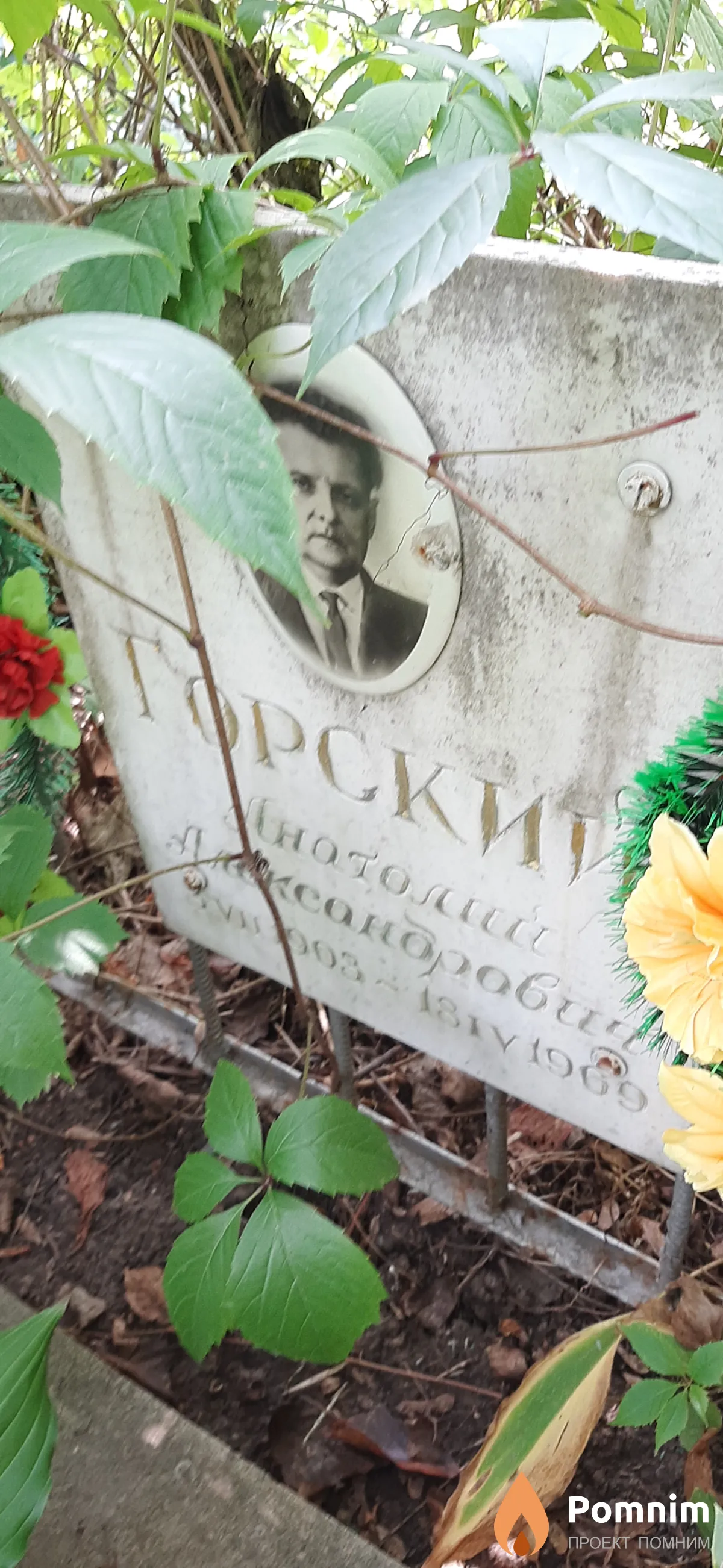 Горский Анатолий Александрович