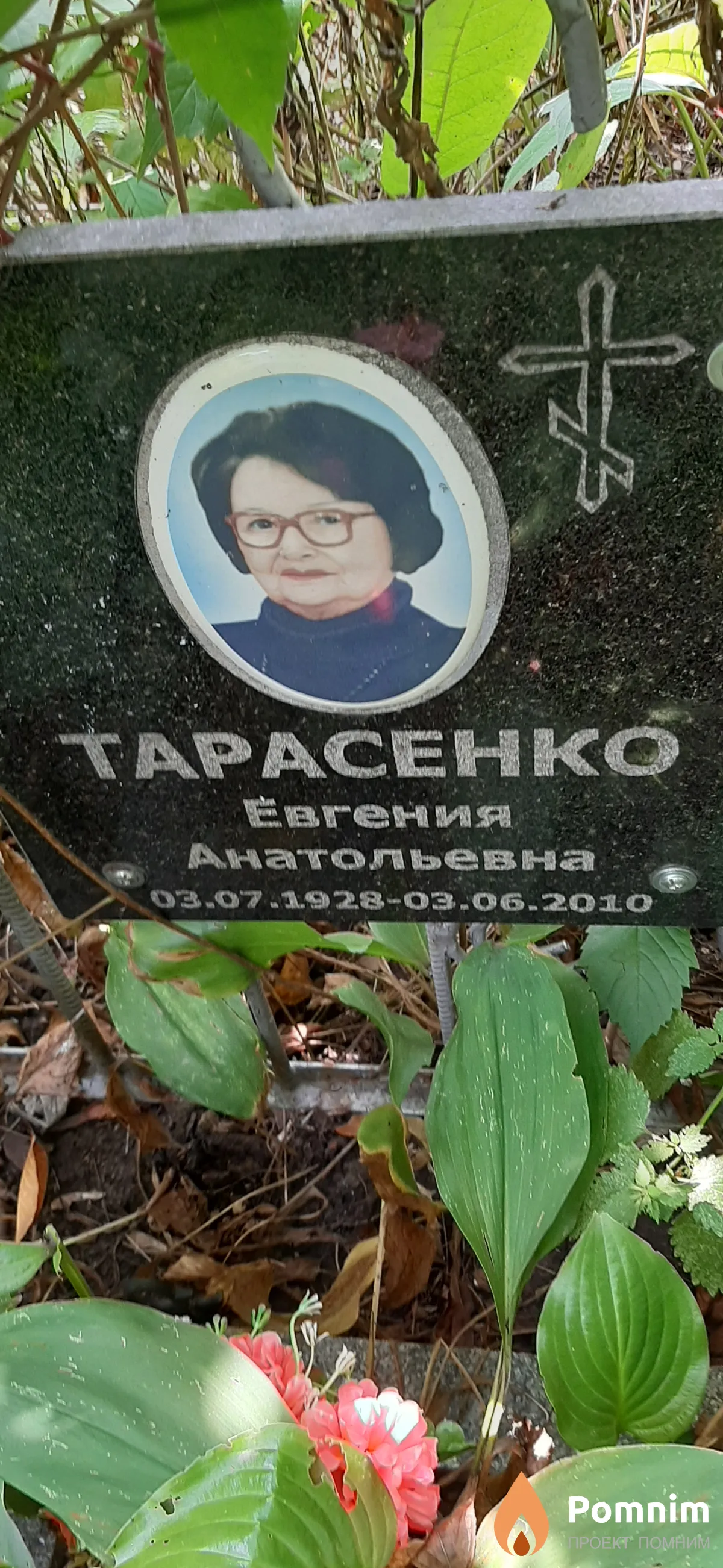 Тарасенко Евгения Анатольевна