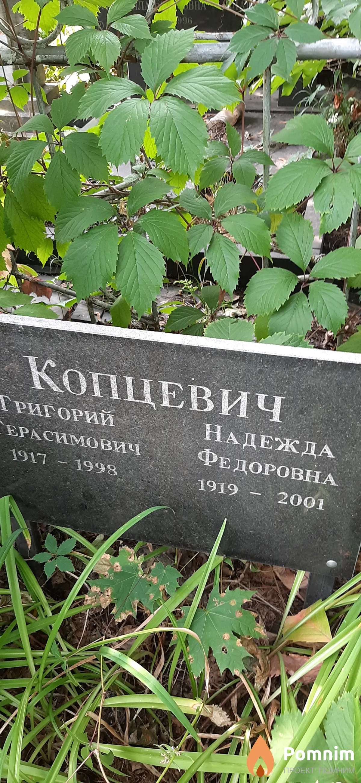 Копцевич Надежда Федоровна