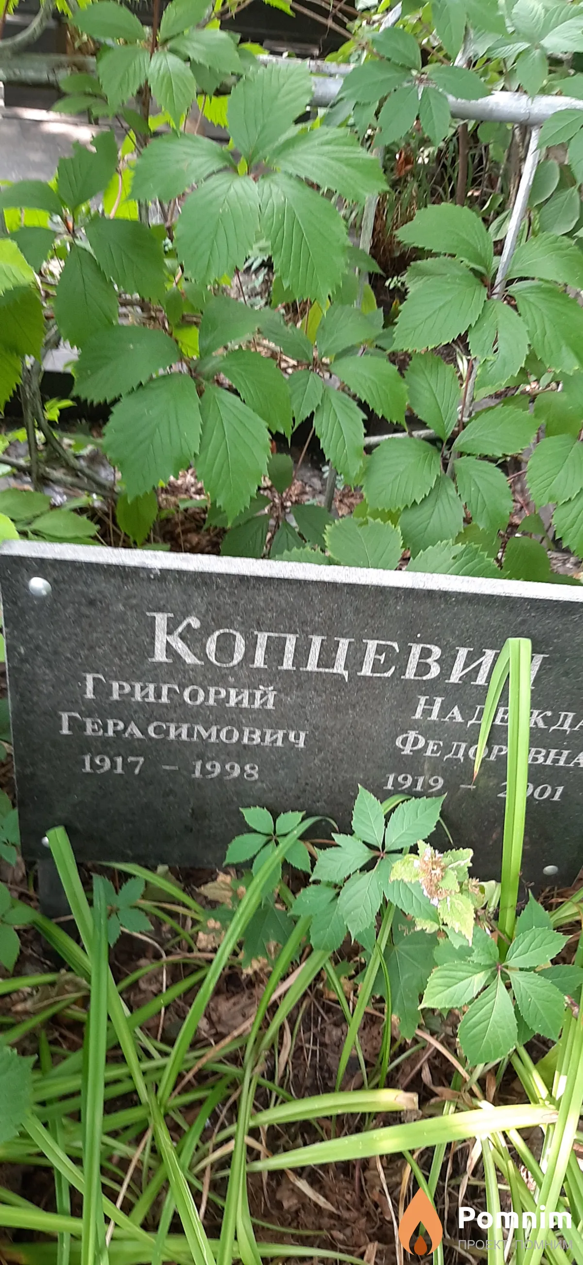 Копцевич Григорий Герасимович