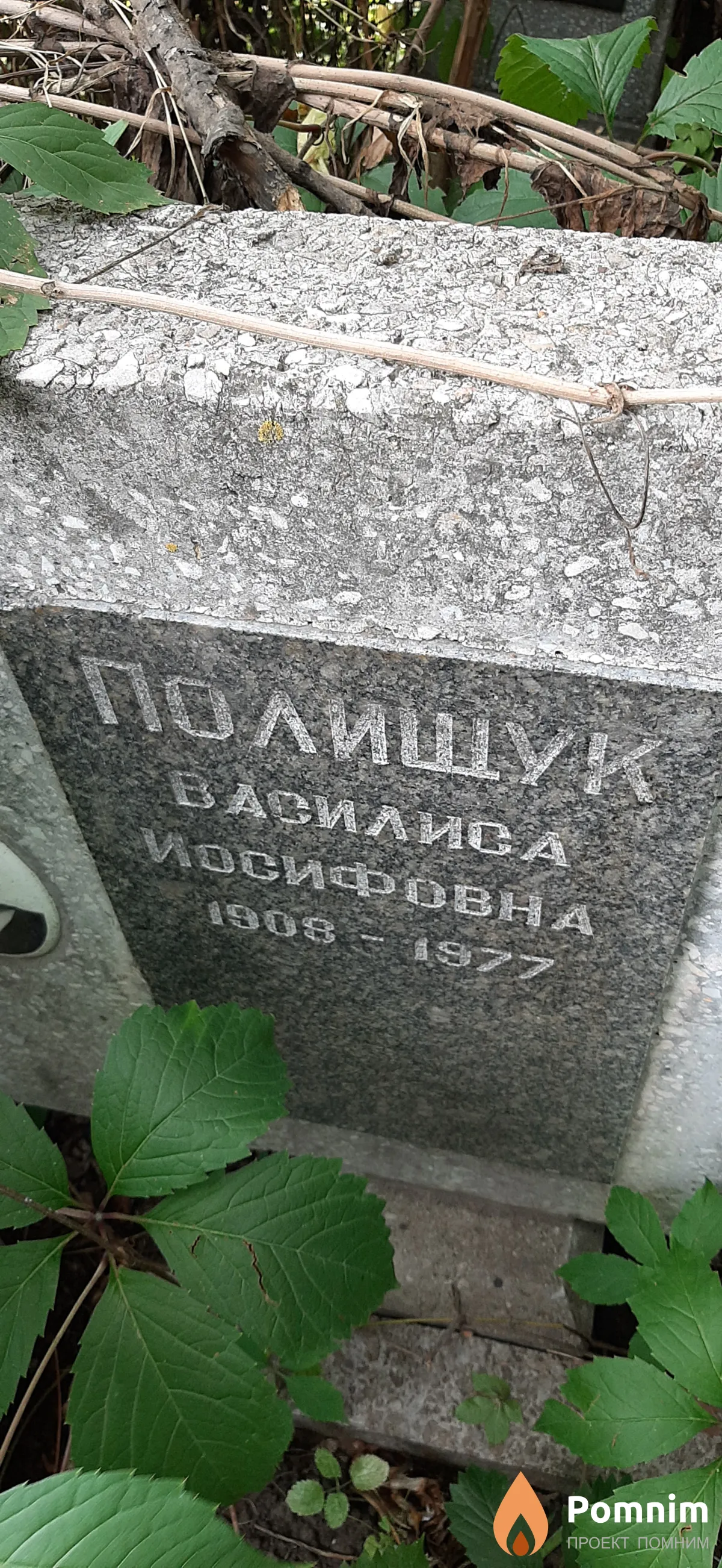 Полишук Василиса Иосифовна