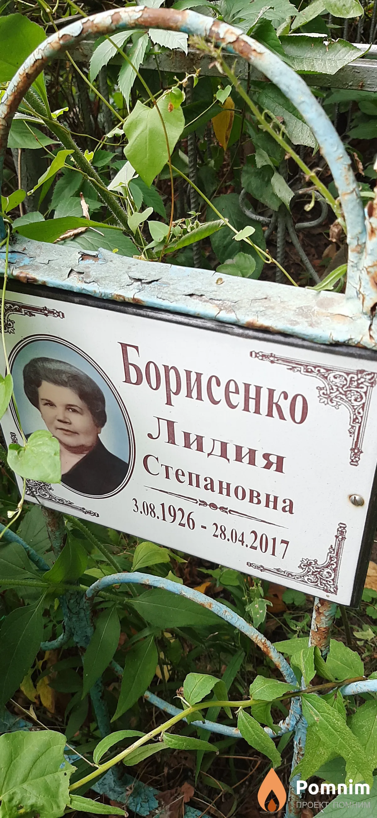 Борисенко Лидия Степановна