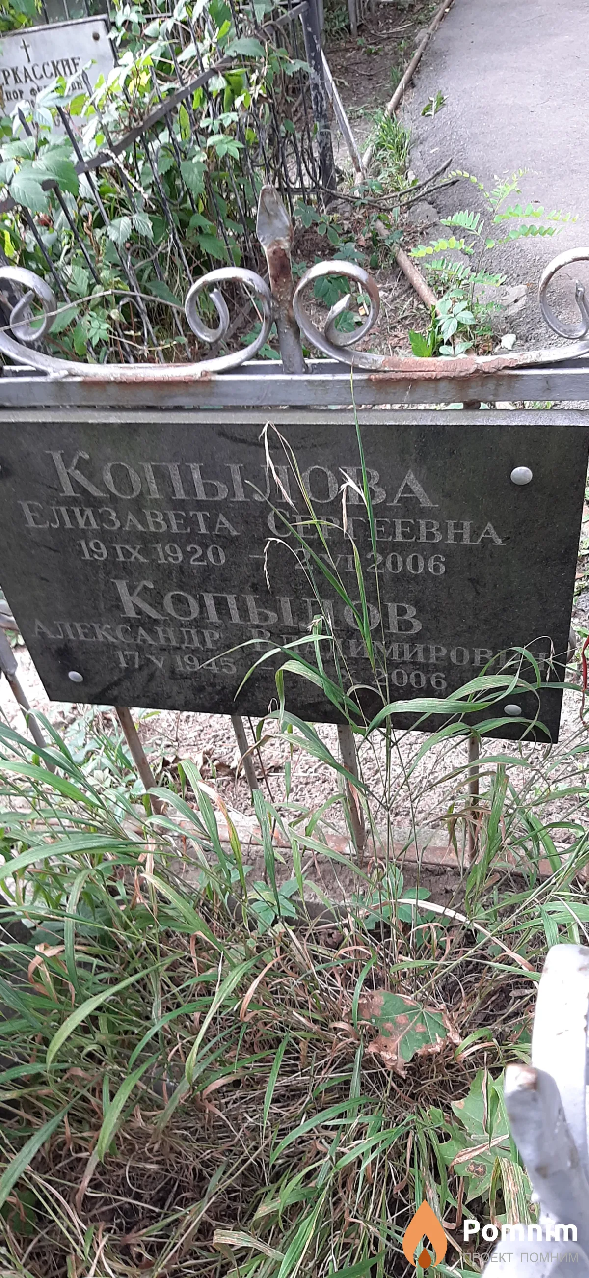 Копылова Елизавета Сергеевна