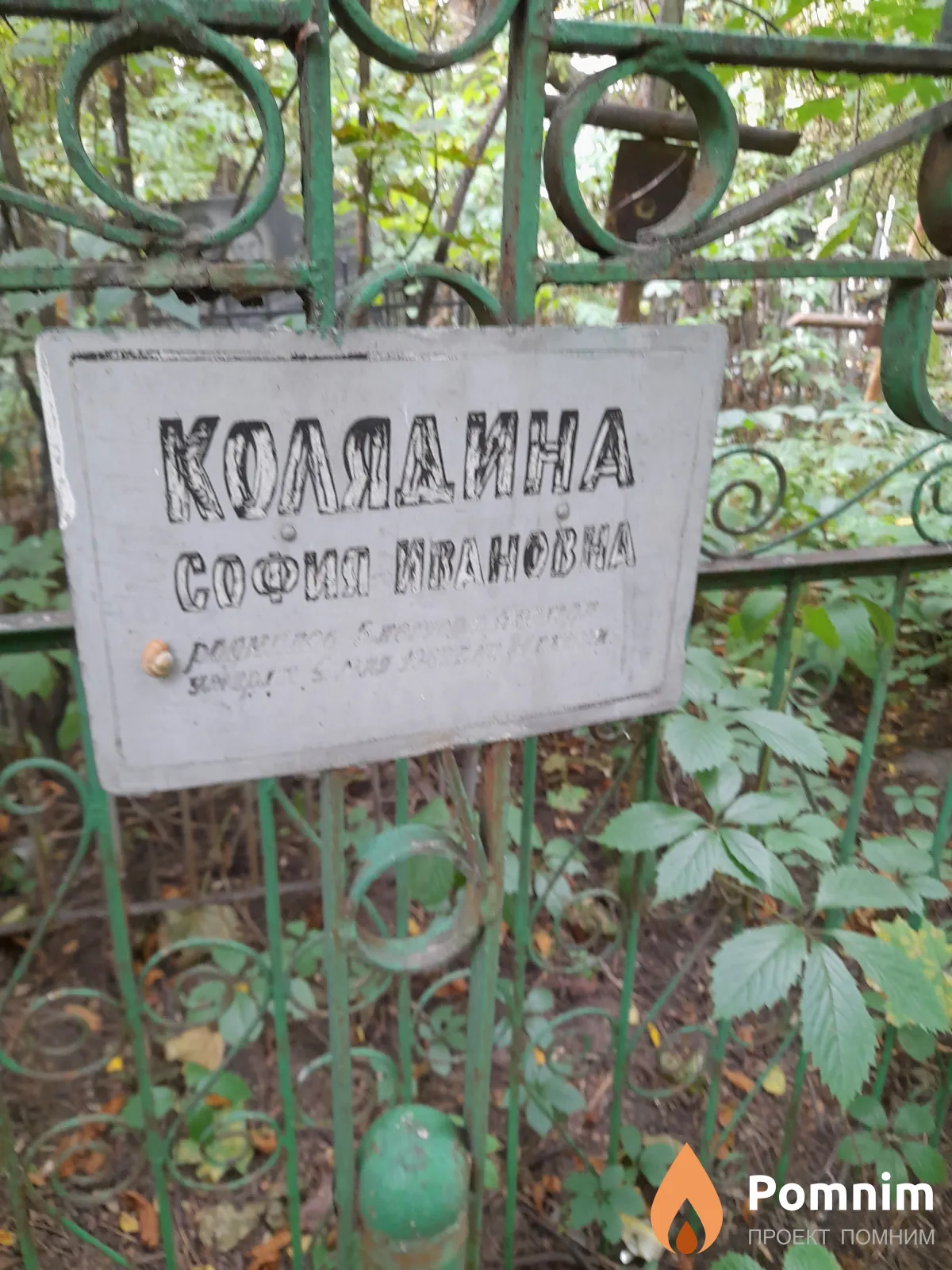 Колядина София Ивановна