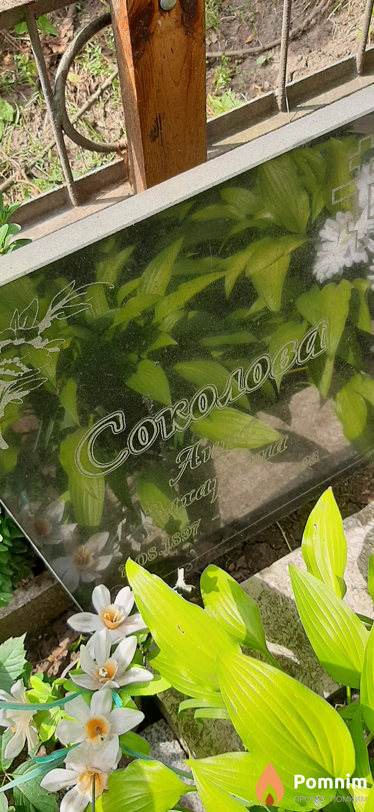 Соколова Анна Захаровна