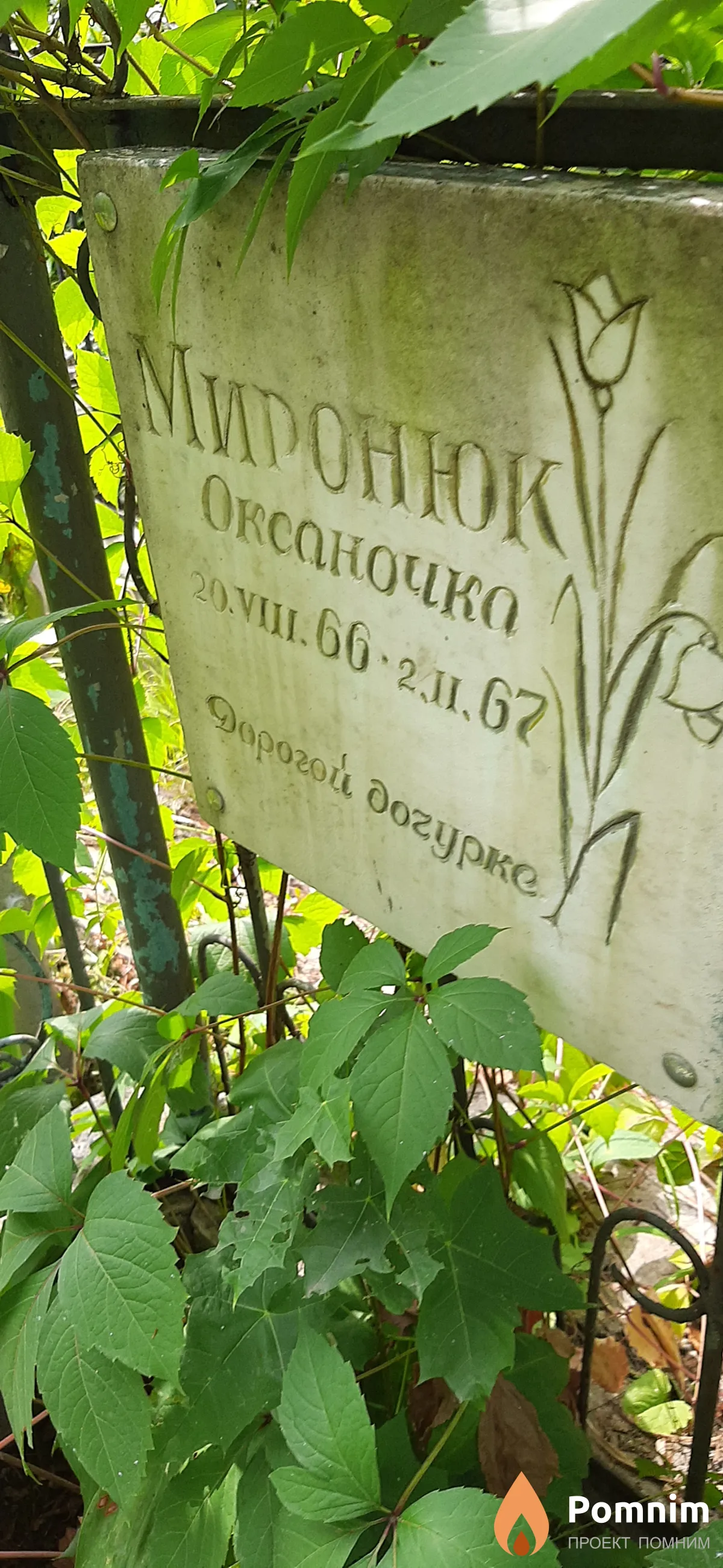 Миронюк Оксаночка