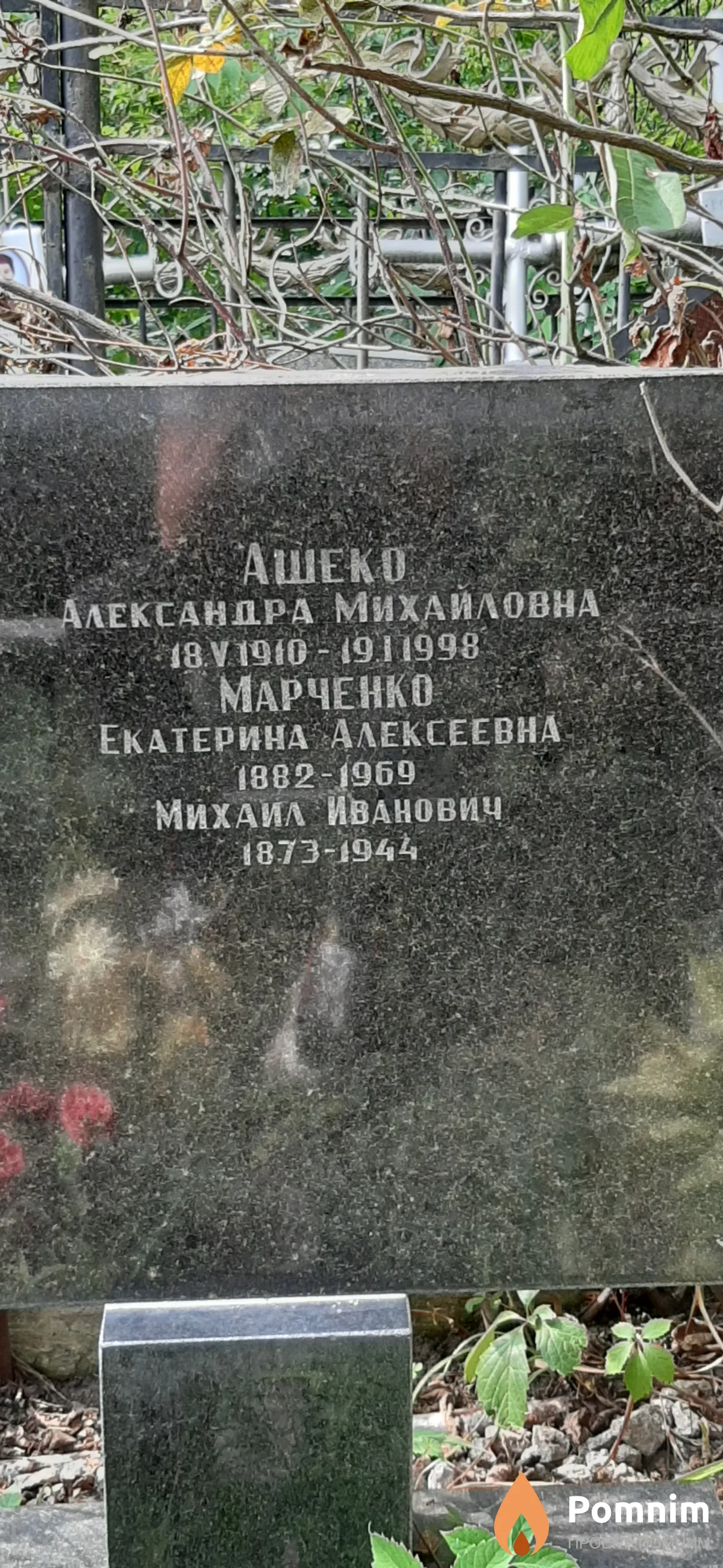 Aшеко Александра Михайловна