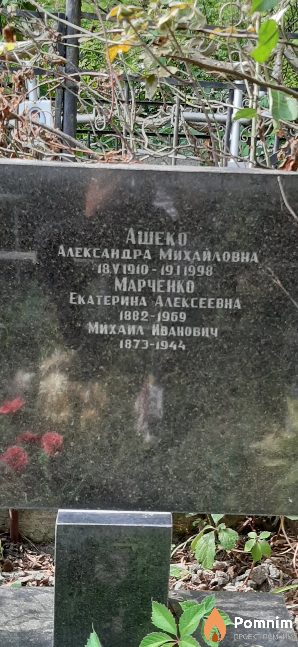 Марченко Екатерина Алексеевна