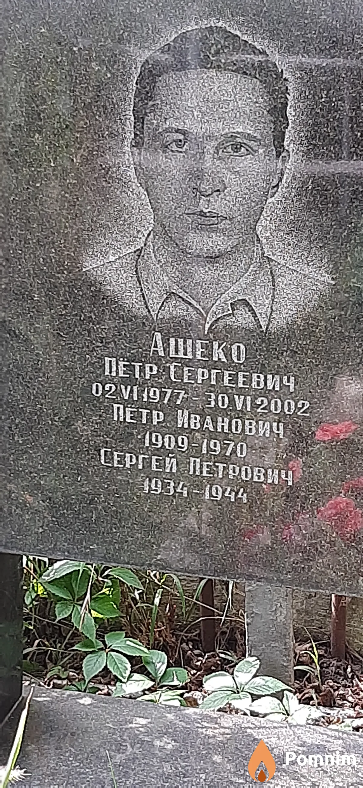 Ашеко Петр Сергеевич