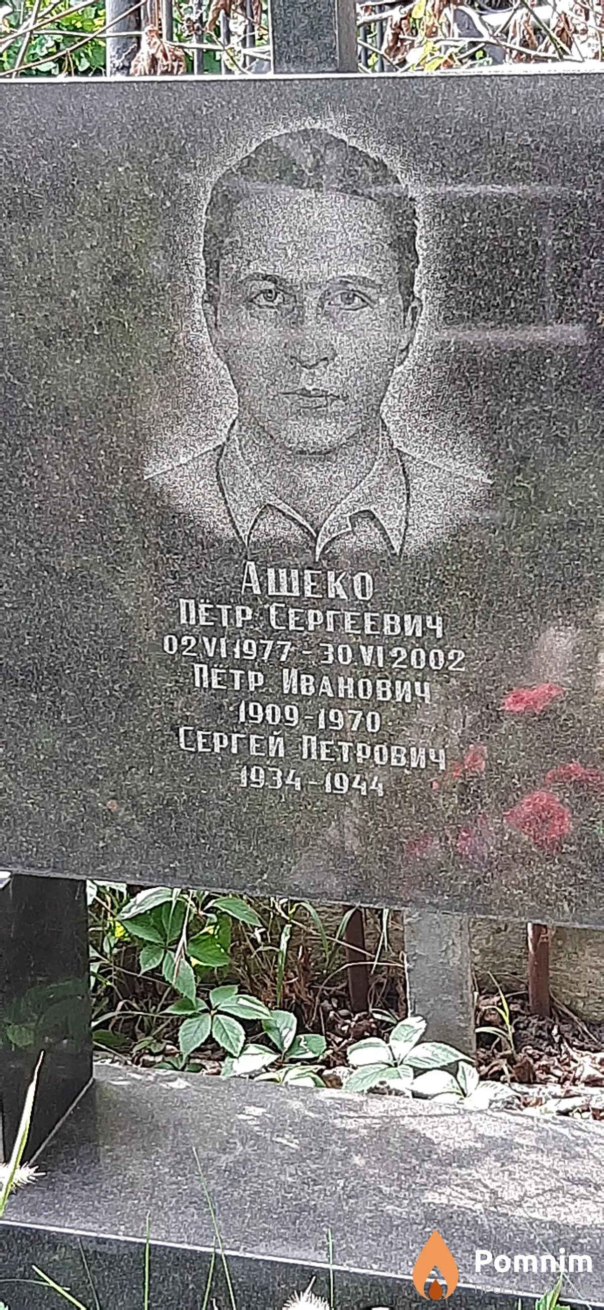 Ашеко Сергей Петрович
