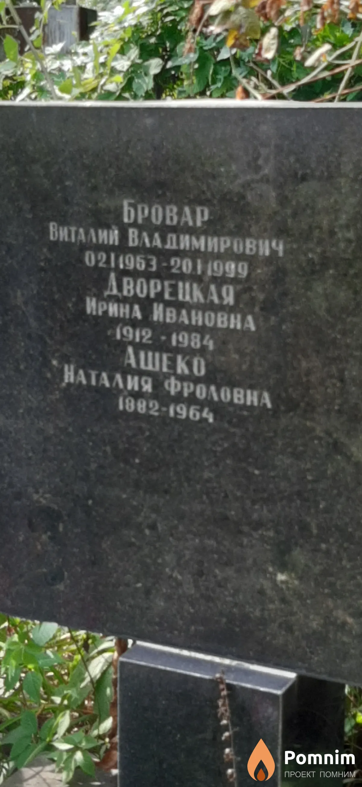 Бровар Виталий Владимирович