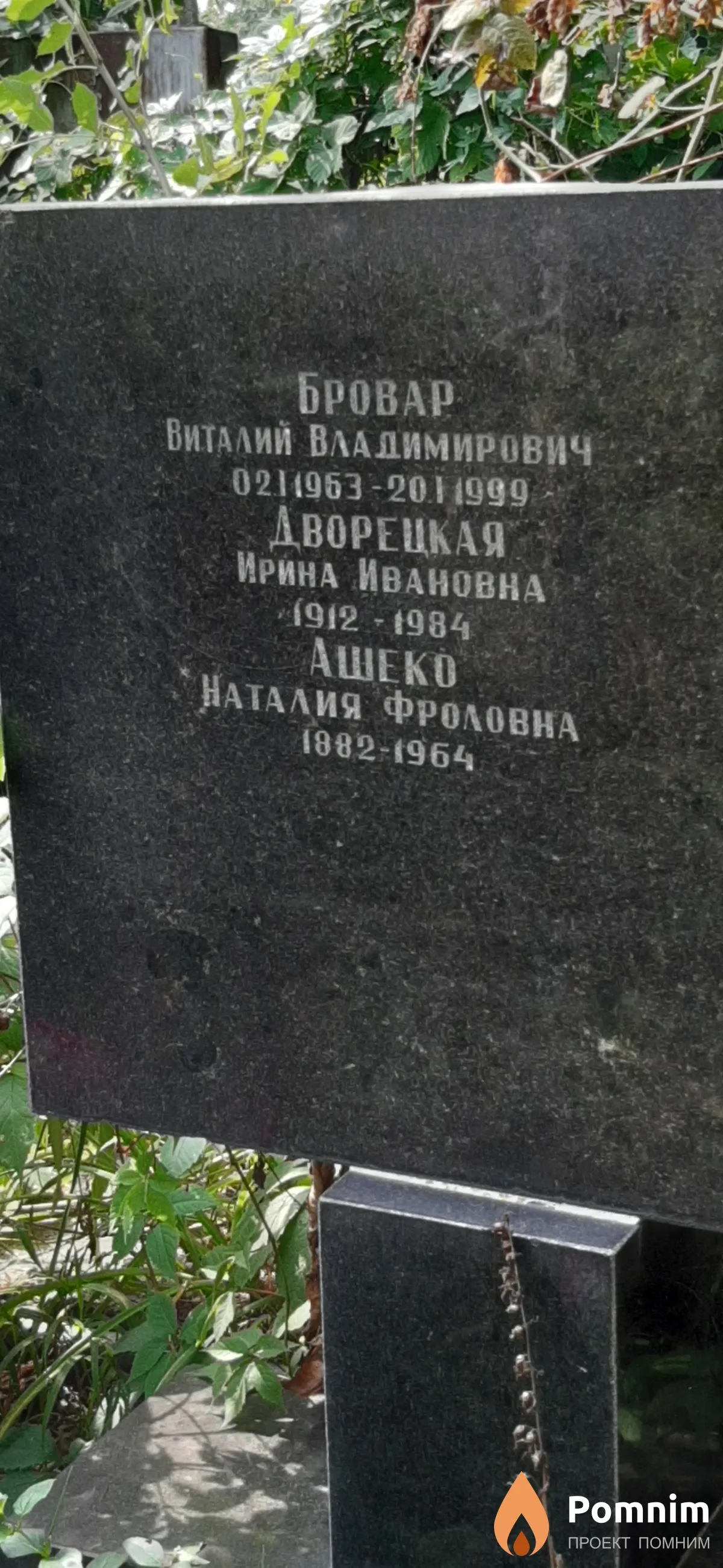 Ашеко Наталия Фроловна