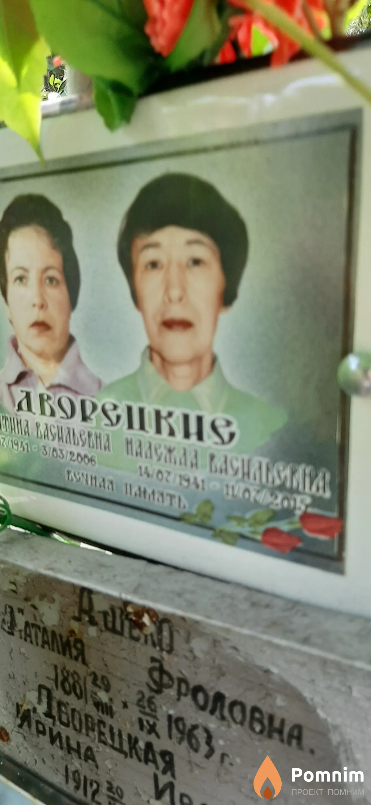 Дворецкая Надежда Васильевна