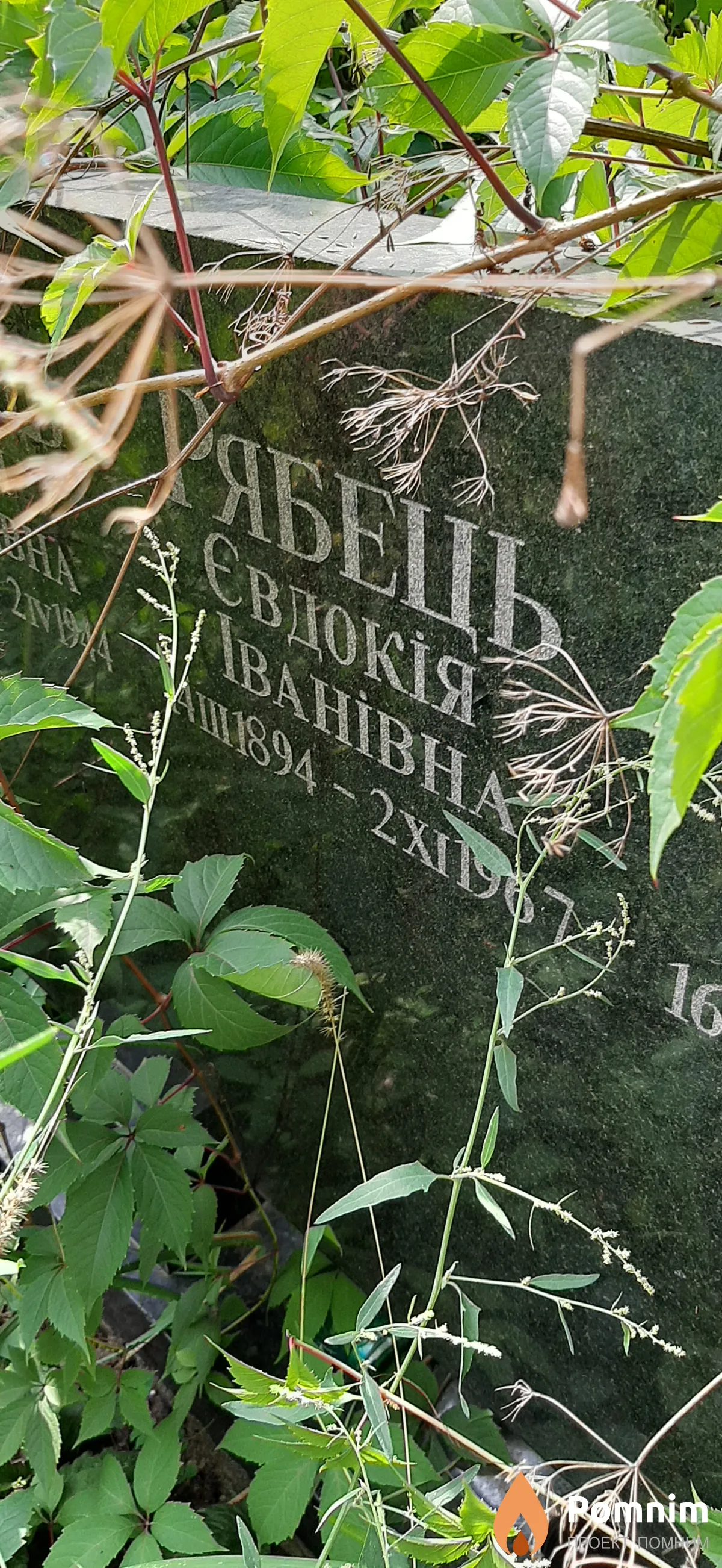 Рябець Евдокия Ивановна