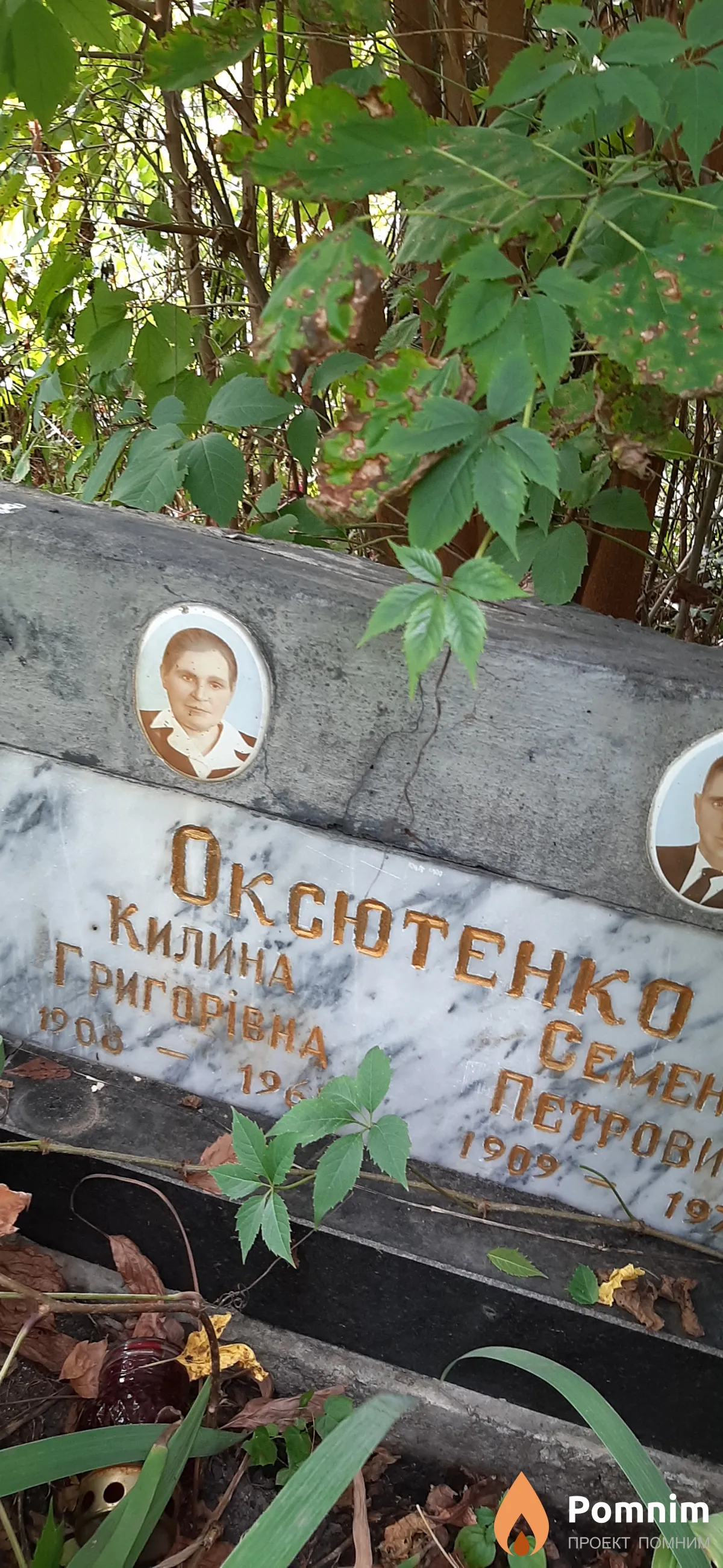 Оксютенко Килина Григорьевна