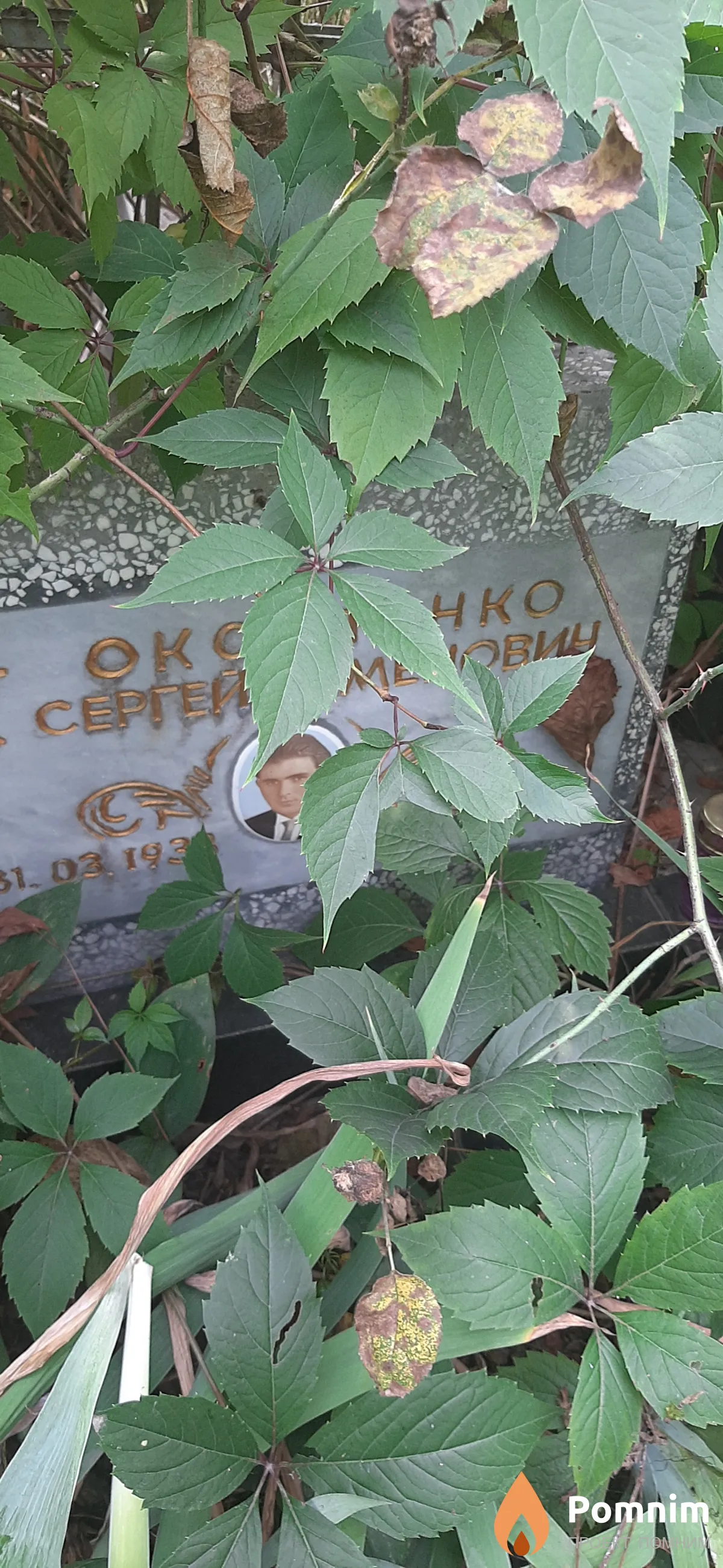 Оксютенко Сергей Семенович