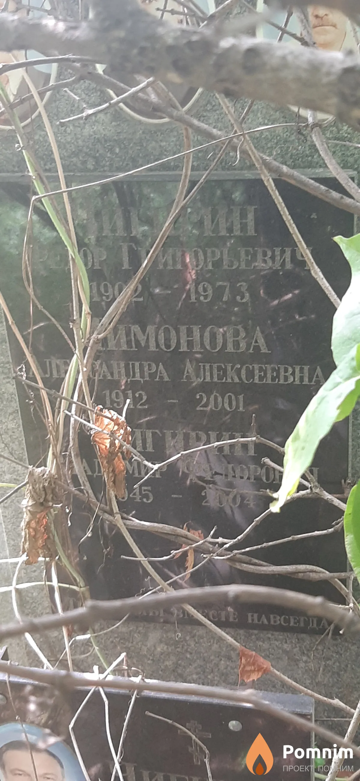 Мимонова Александра Алексеевна