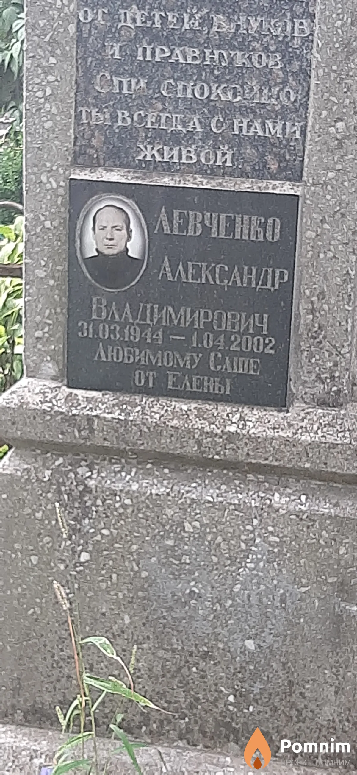 Левченко Александр Владимирович
