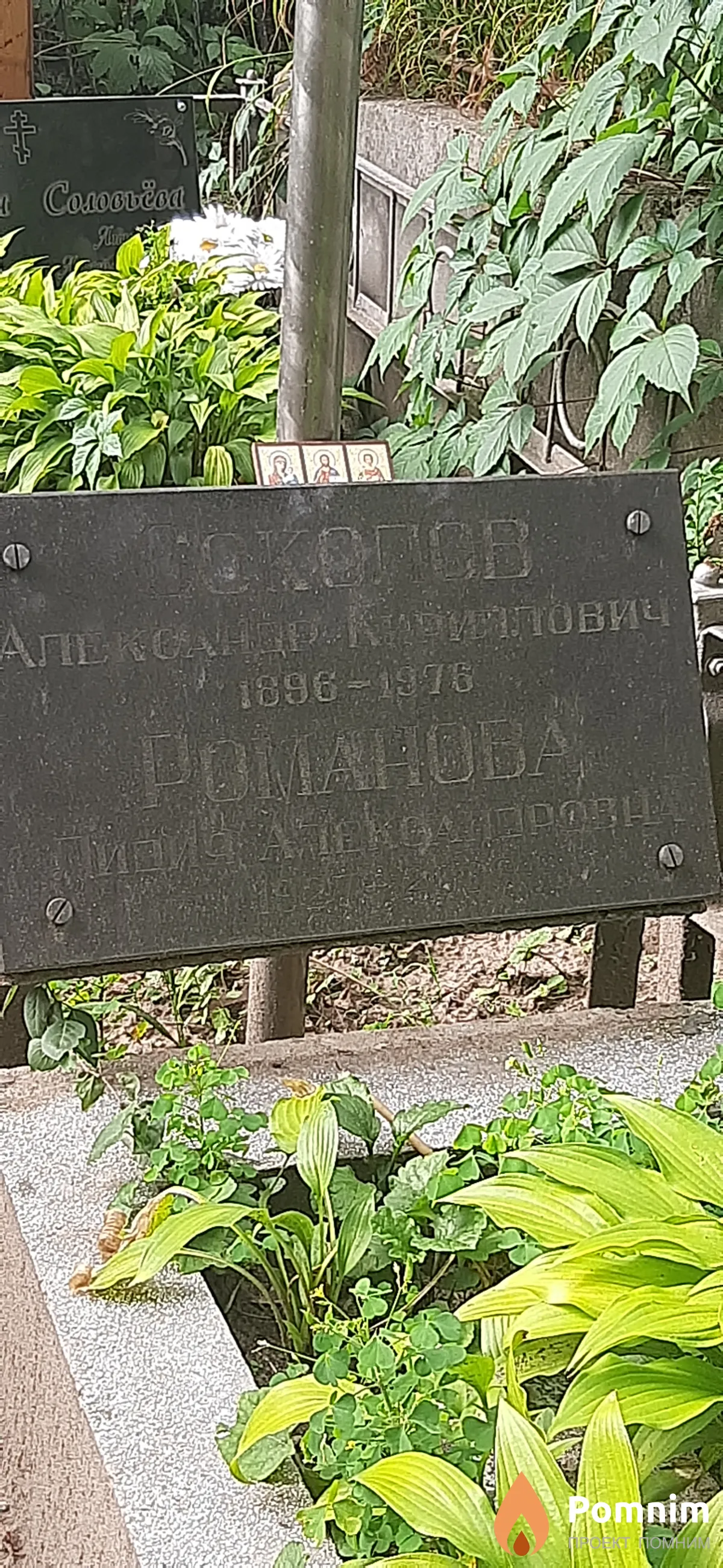 Соколов Александр Кириллович