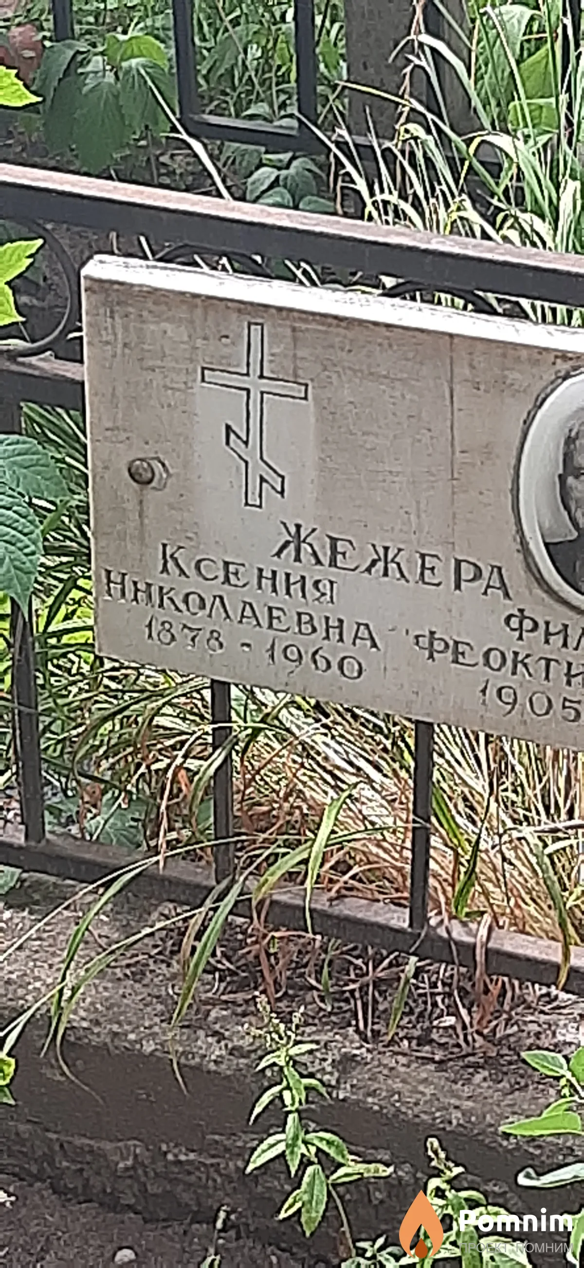 Жежера Ксения Наколаевна