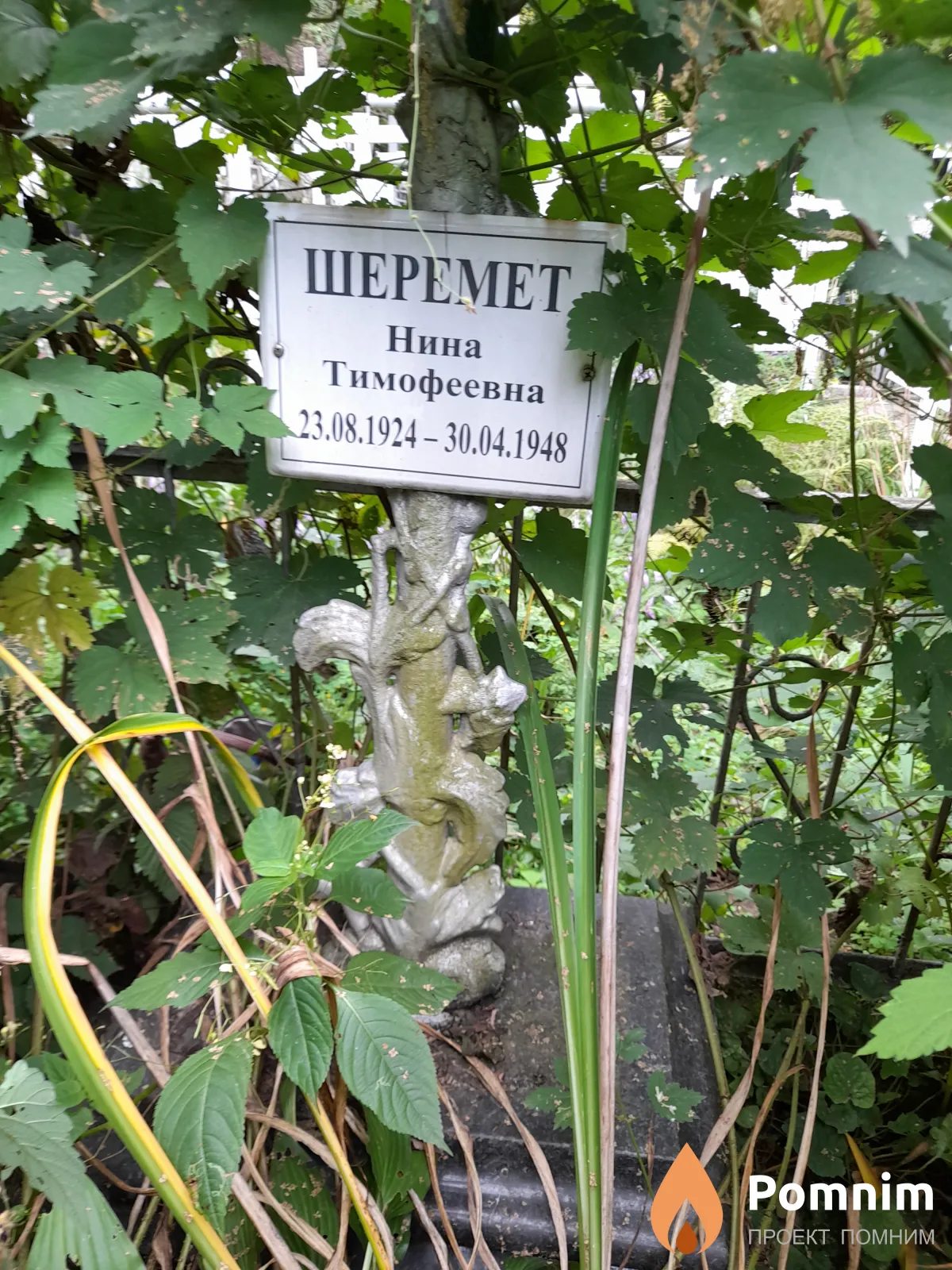 Шеремет Нина Тимофеевна