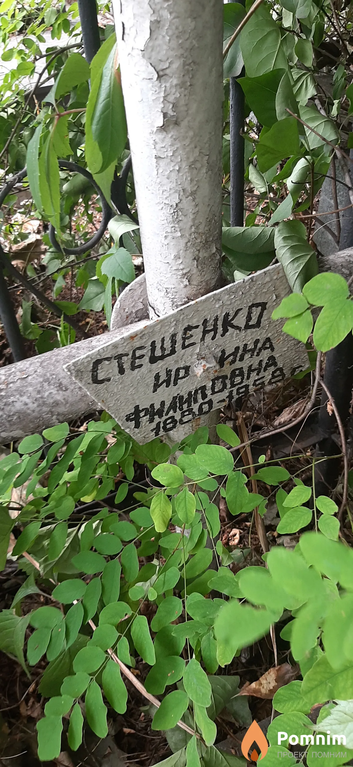 Стешенко Ирина Филиповна