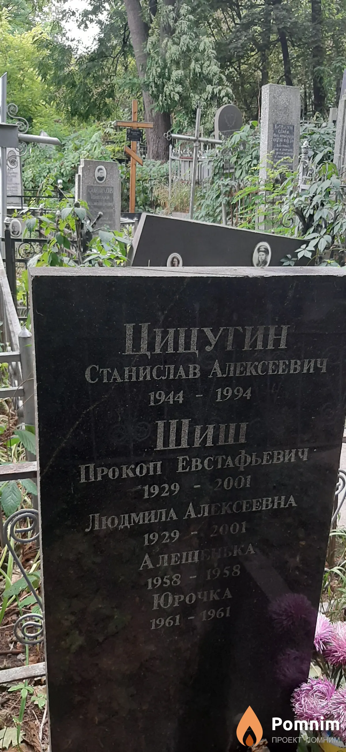 Цицутин Станислав Алексеевич