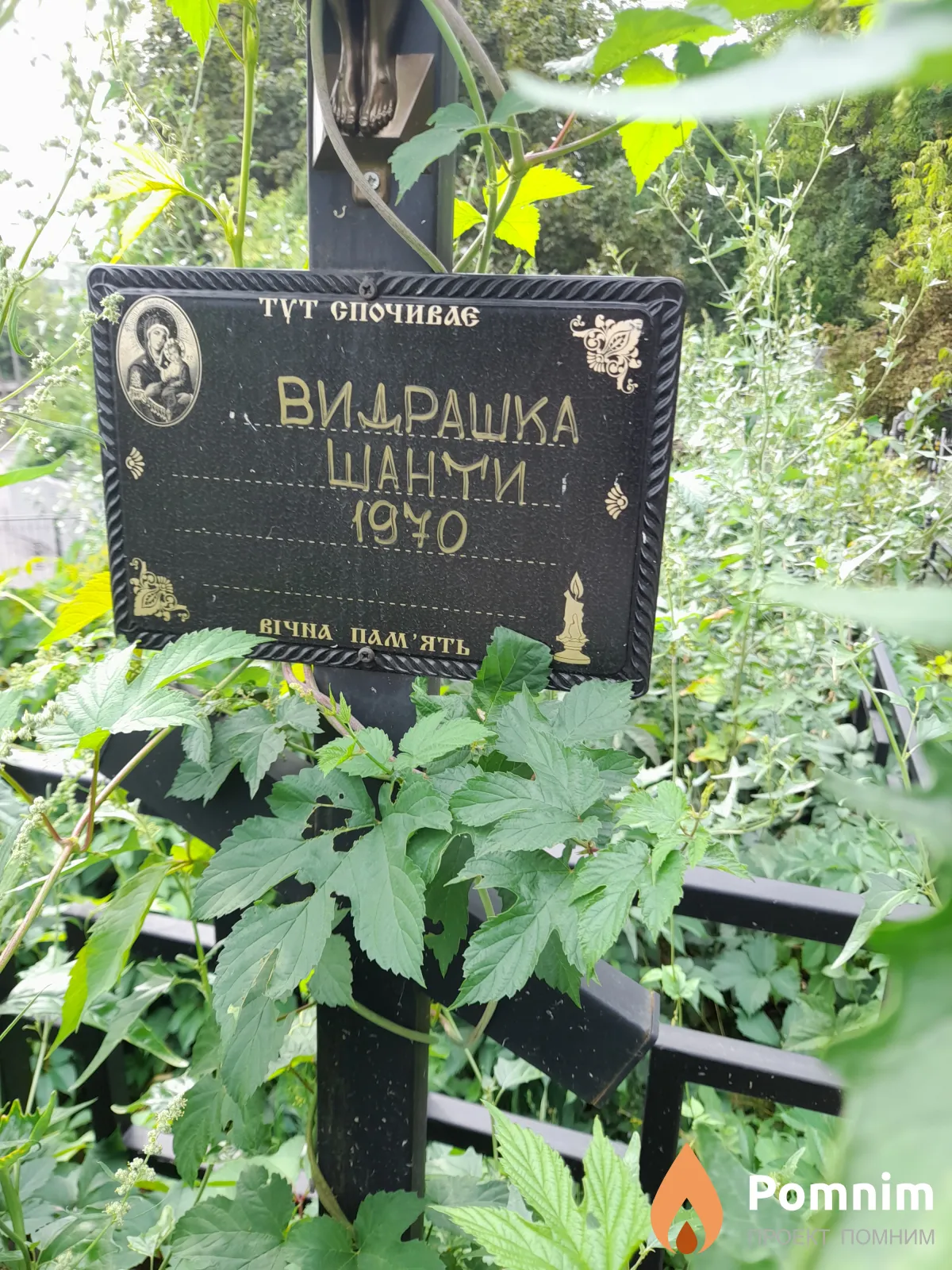 Видрашка Шанти