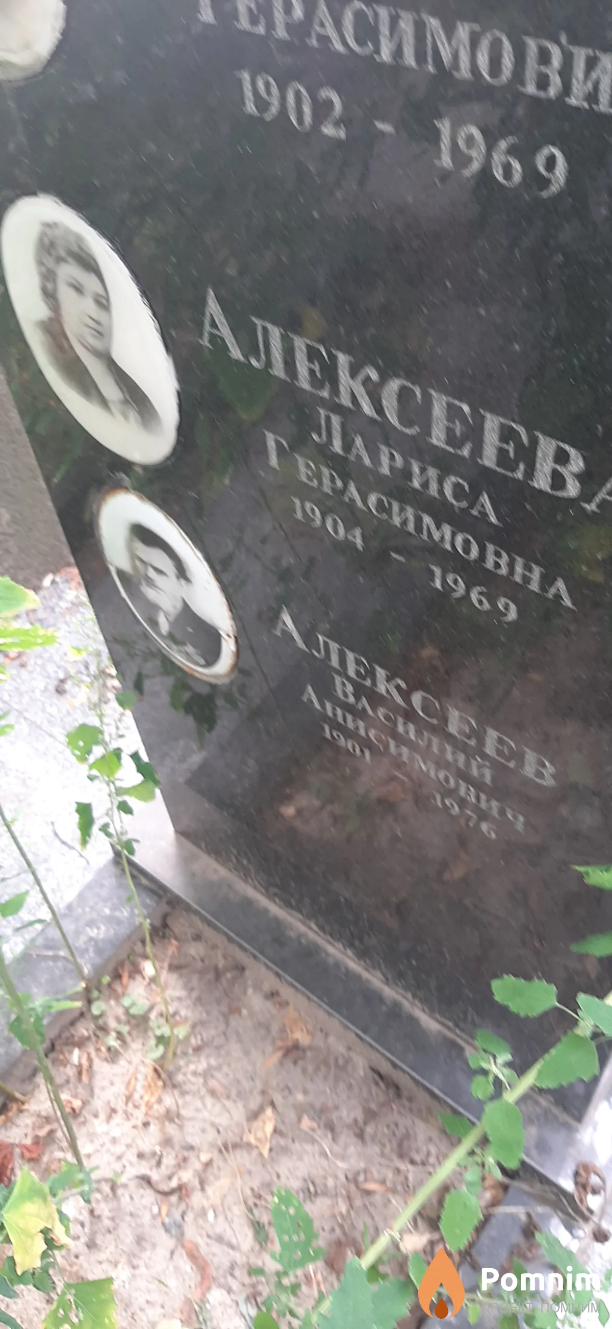 Алексеев Василий Анисимович