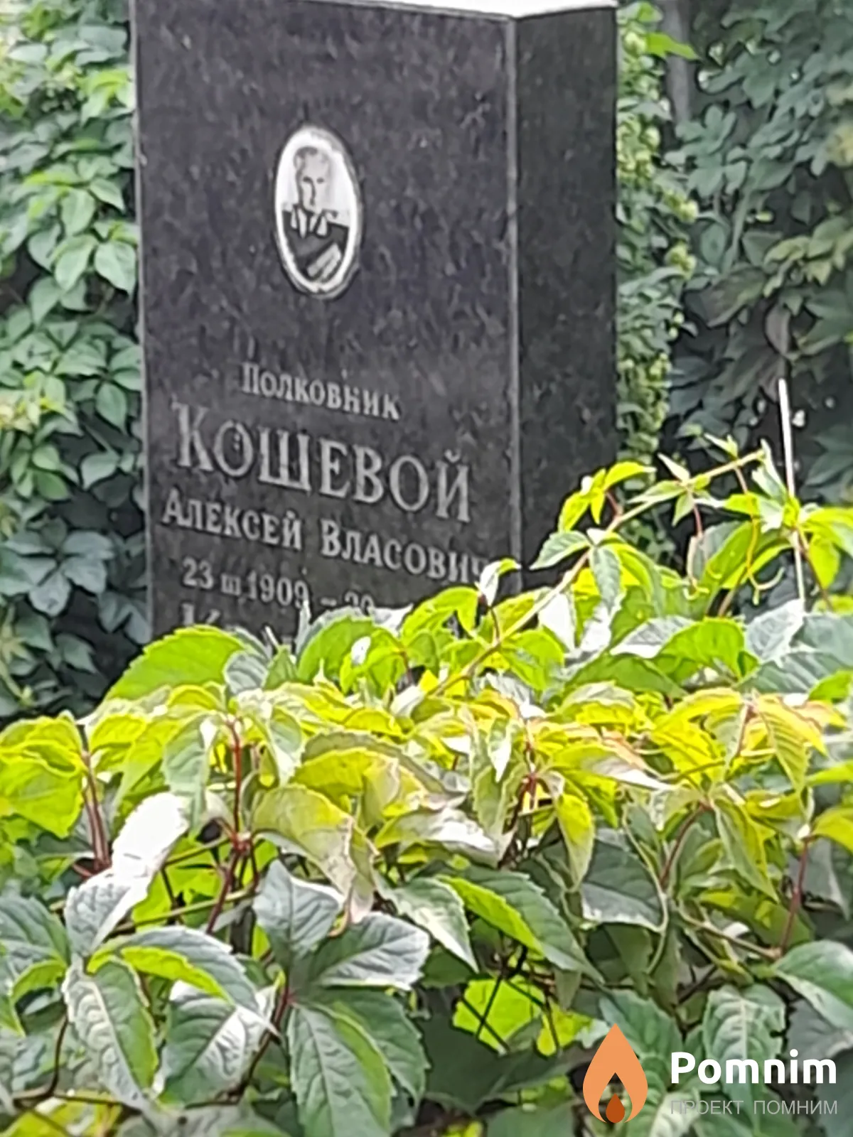 Кошевой Алексей Власович