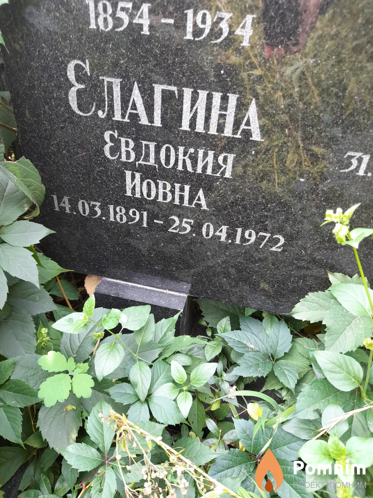Елагина Евдокия Иовна