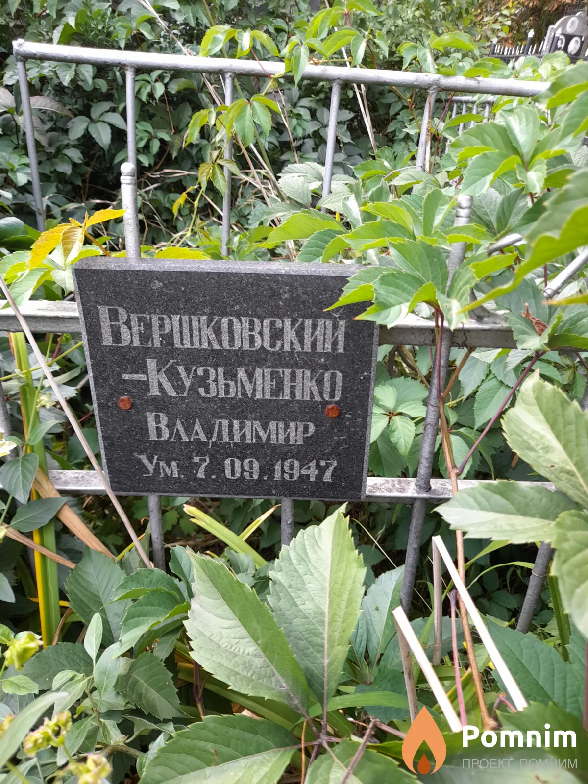 Вершковский-Кузменко Владимир