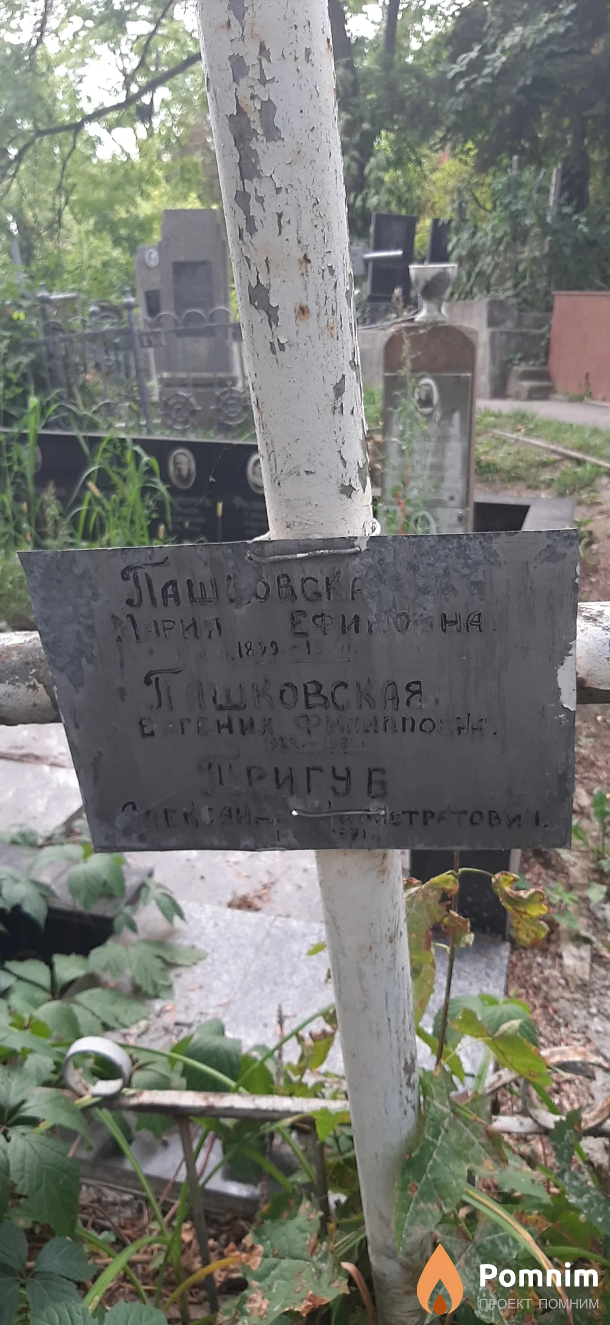Пашковская Евгения Филипповна