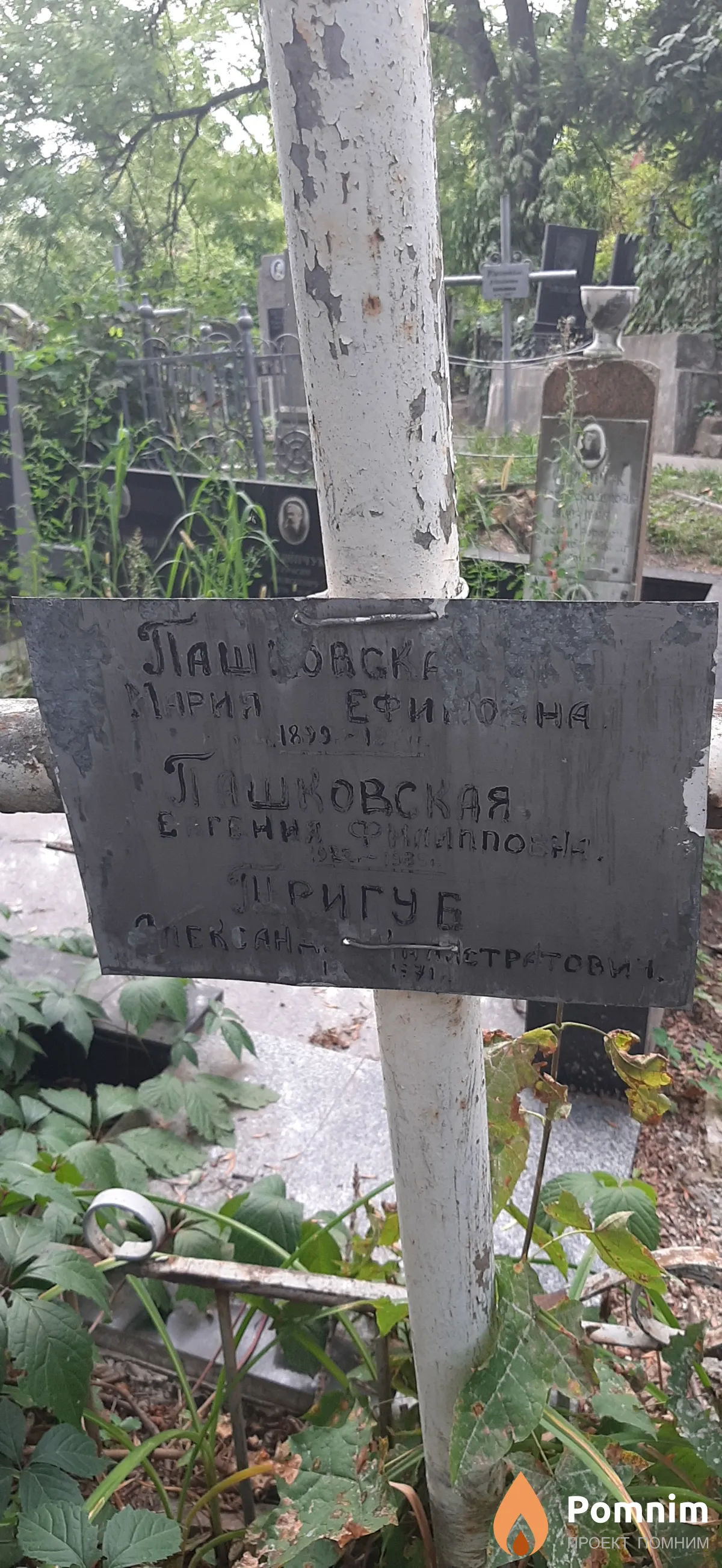 Тригуб Александр Калистратович