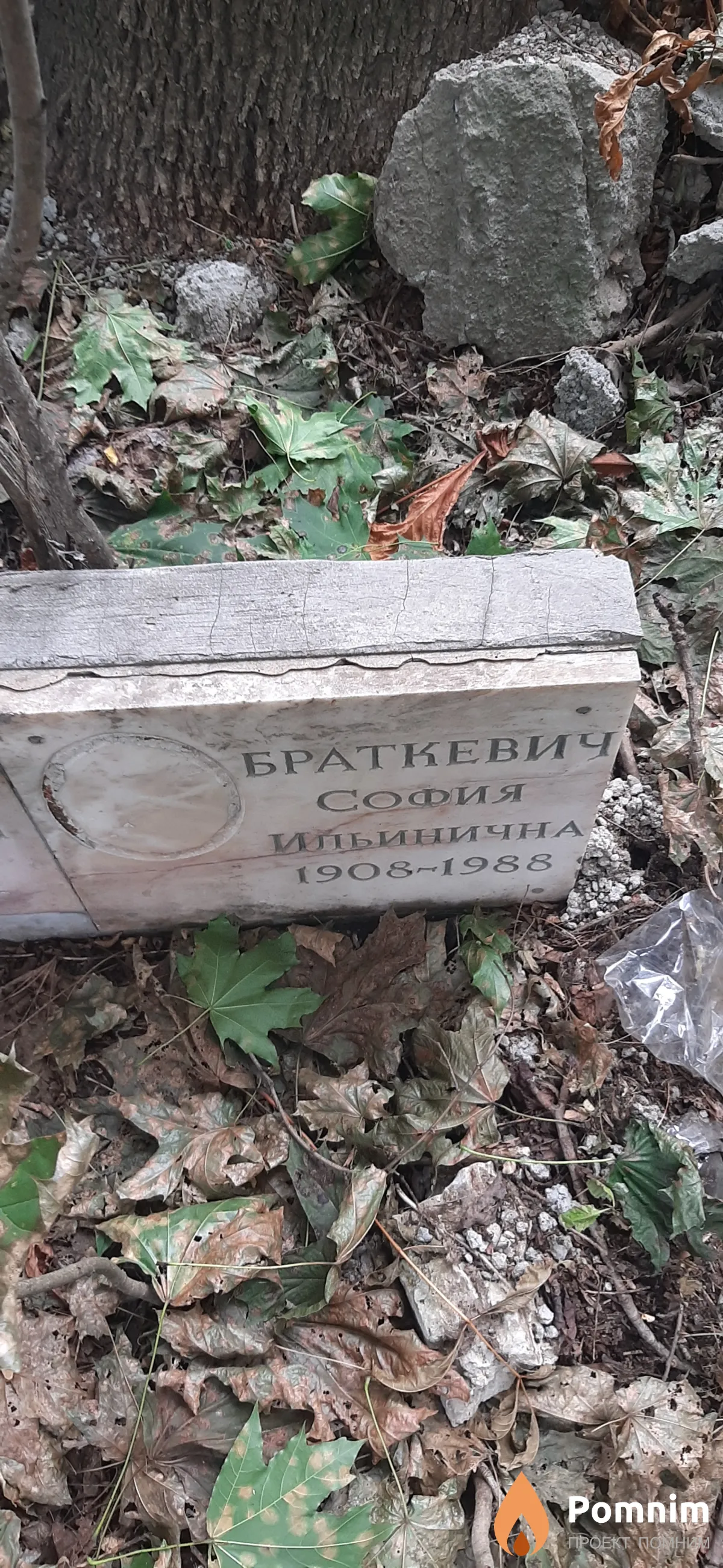 Браткевич София Ильинична