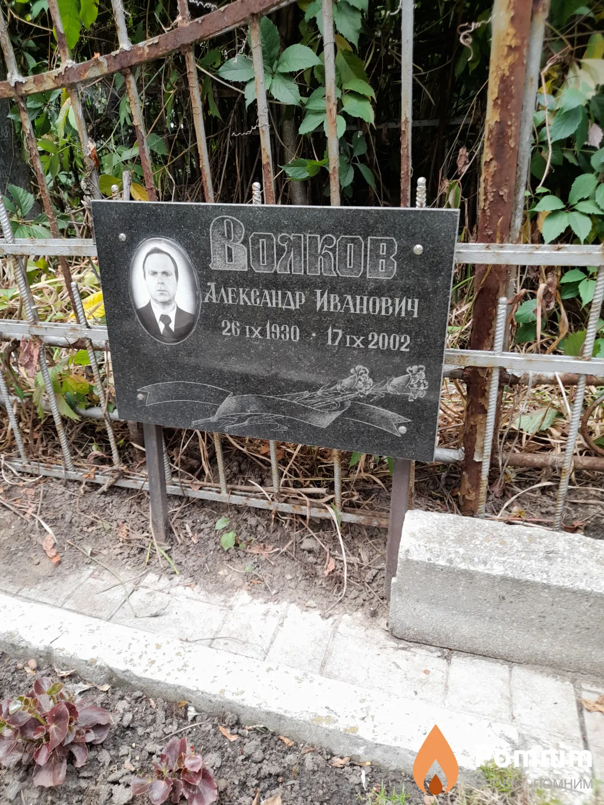 Волков Александр Иванович