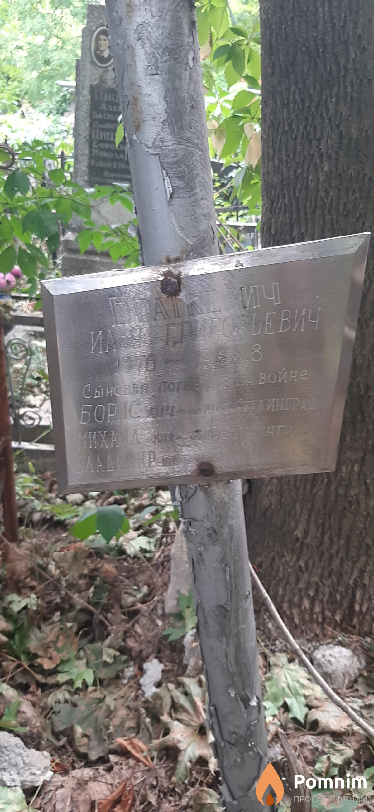 Браткевич Владимир