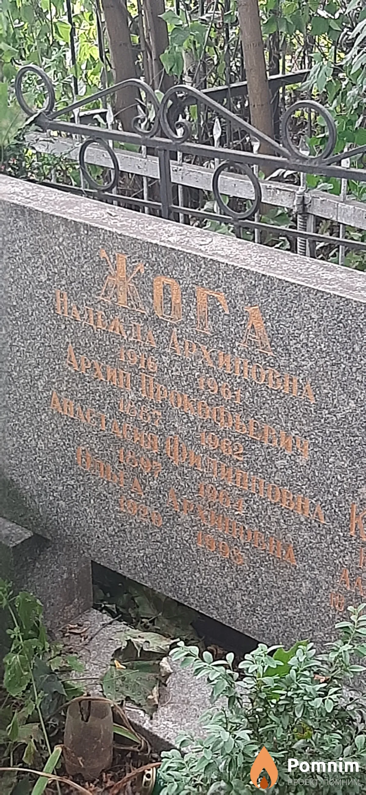 Жога Надежда Архиповна