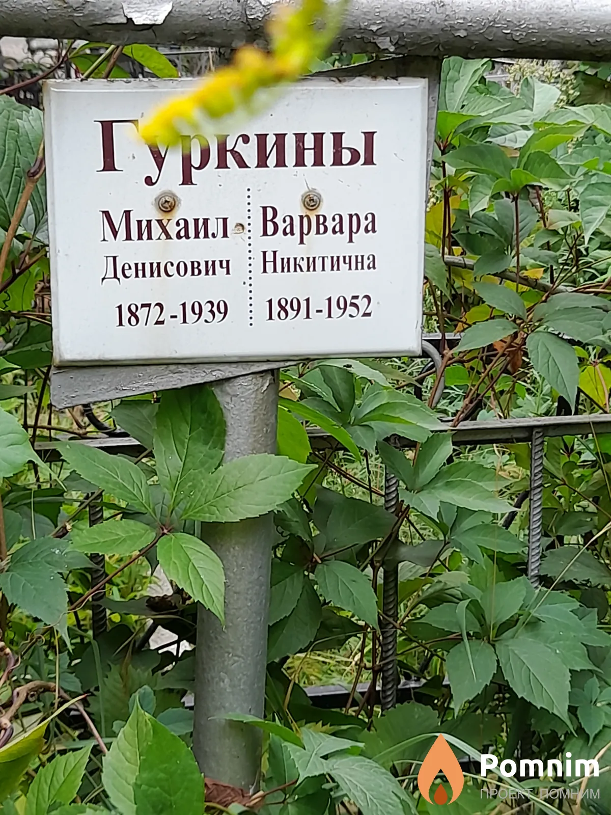 Гуркин Михаил Денисович